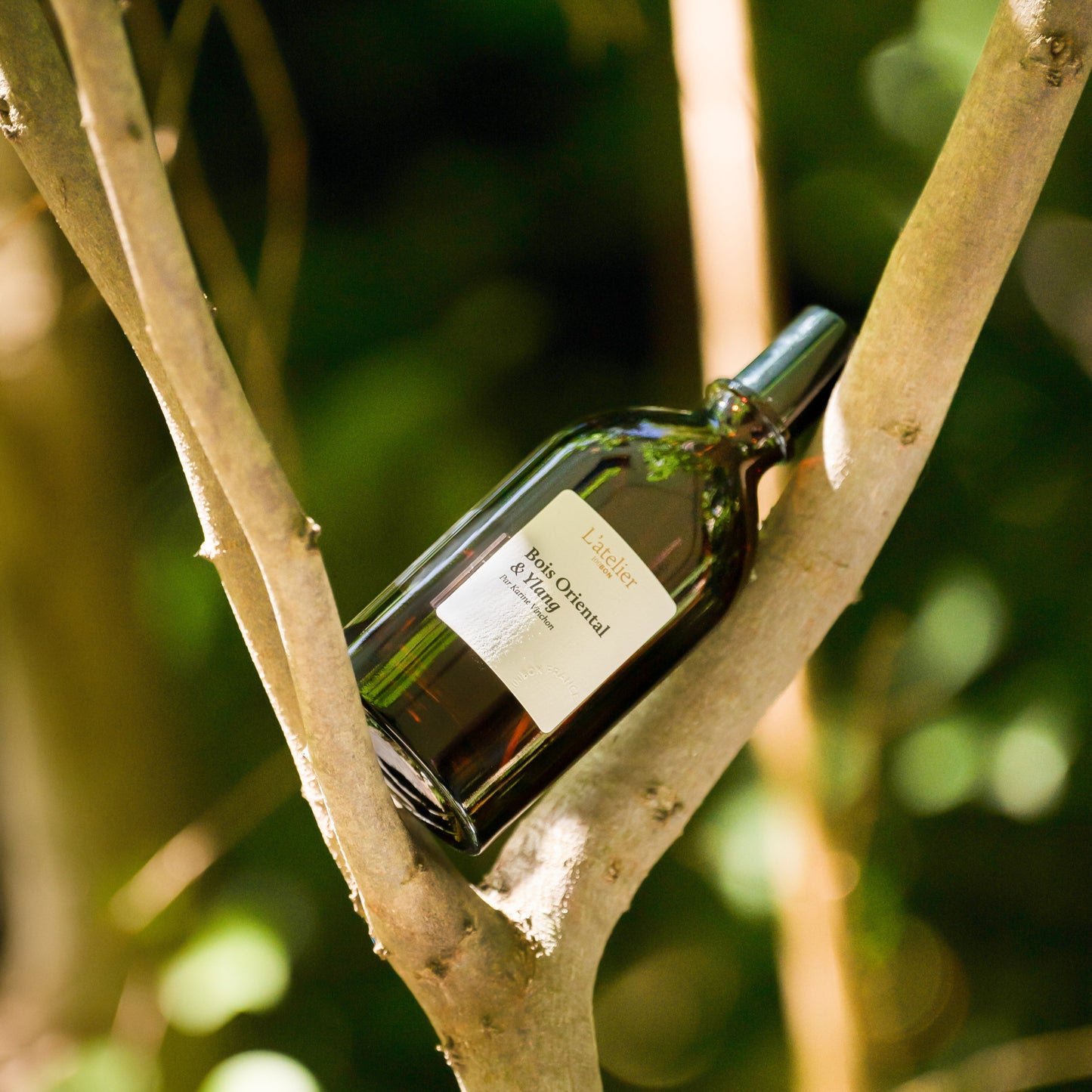 Bois Oriental & Ylang - Eau de Parfum Intense