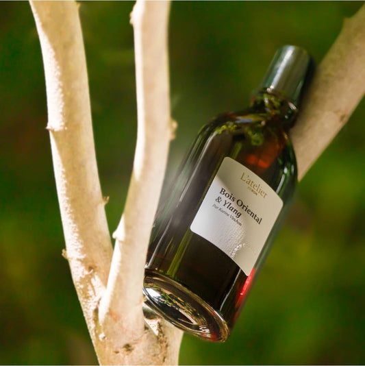 Bois Oriental & Ylang - Eau de Parfum Intense